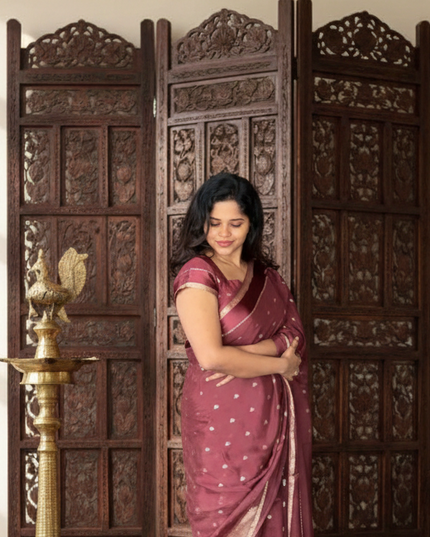 Brown Chinnon Saree