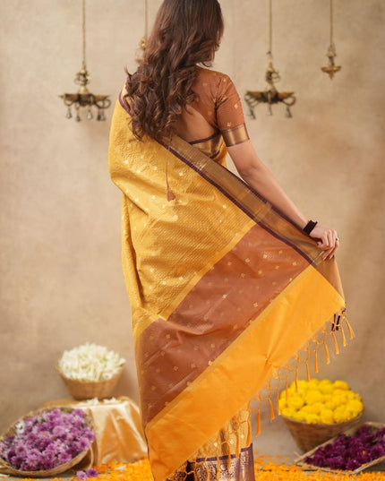 Rabiya mustard yellow with maroon kanchi silk saree